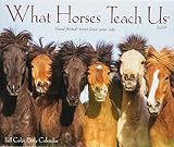 What Horses Teach Us 2019 Box Calendar