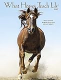 What Horses Teach Us 2019 Engagement Calendar