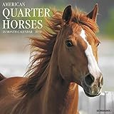 American Quarter Horses 2020 Calendar