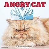 Angry Cat 2020 Calendar