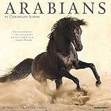 Arabians 2020 Wall Calendar