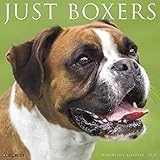 Just Boxers 2020 Calendar