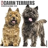 Just Cairn Terriers 2020 Calendar