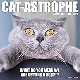 Catastrophe 2020 Calendar