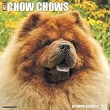 Just Chow Chows 2020 Calendar