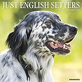 Just English Setters 2020 Calendar