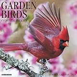 Garden Birds 2020 Wall Calendar