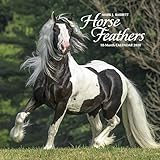 Horse Feathers 2020 Calendar