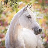 Horse A Portrait 2020 Wall Calendar