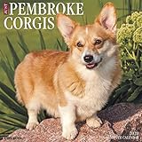 Just Pembroke Corgis 2020 Calendar