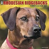 Just Rhodesian Ridgebacks 2020 Calendar