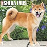 Shiba Inus 2020 Calendar