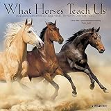 What Horses Teach Us 2020 Mini Wall Calendar