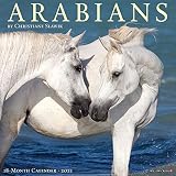 Arabians 2021 Wall Calendar