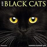 Just Black Cats 2021 Wall Calendar