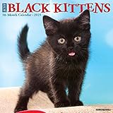 Just Black Kittens 2021 Wall Calendar
