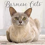 Burmese Cats 2021 Wall Calendar