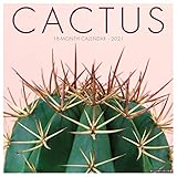 Cactus 2021 Wall Calendar