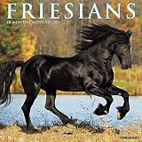 Friesians 2021 Wall Calendar