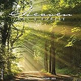 Heaven Has A Forest 2021 Wall Calendar
