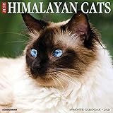 Just Himalayan Cats 2021 Wall Calendar