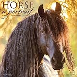 Horse A Portrait 2021 Wall Calendar