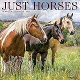 Just Horses 2021 Wall Calendar