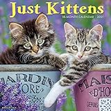Just Kittens 2021 Wall Calendar