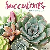 Succulents 2021 Wall Calendar