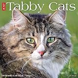 Just Tabby Cats 2021 Wall Calendar