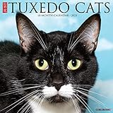 Just Tuxedo Cats 2021 Wall Calendar