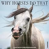 Why Horses Do That 2021 Wall Calendar