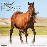 Wild Horses 2021 Wall Calendar