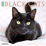 Just Black Cats 2021 Mini Wall Calendar