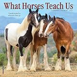 What Horses Teach Us 2021 Mini Wall Calendar