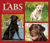 Just Labs 2021 Box Calendar Dog Breed Calendar