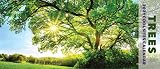 Trees Panoramic 2021 Wall Calendar