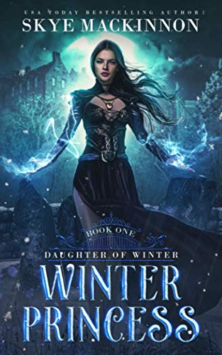 Winter Princess book cover