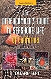 The Beachcombers Guide To Seashore Life Of California