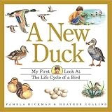 Amazon cover image