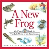 Amazon cover image