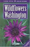 Wildflowers of Washington