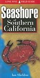 Seashore Of Southern California Lone Pine Field Guide