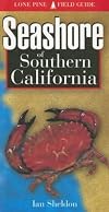 Seashore of Southern California