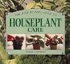 The Step-by-Step Guide to Houseplant Care