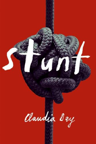 Stunt book cover