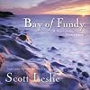 Bay of Fundy: A Natural Portrait