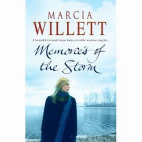 Memories Of The Storm book cover