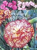 Carnations And Pinks