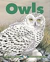 Owls (Kids Can Press Wildlife Series)